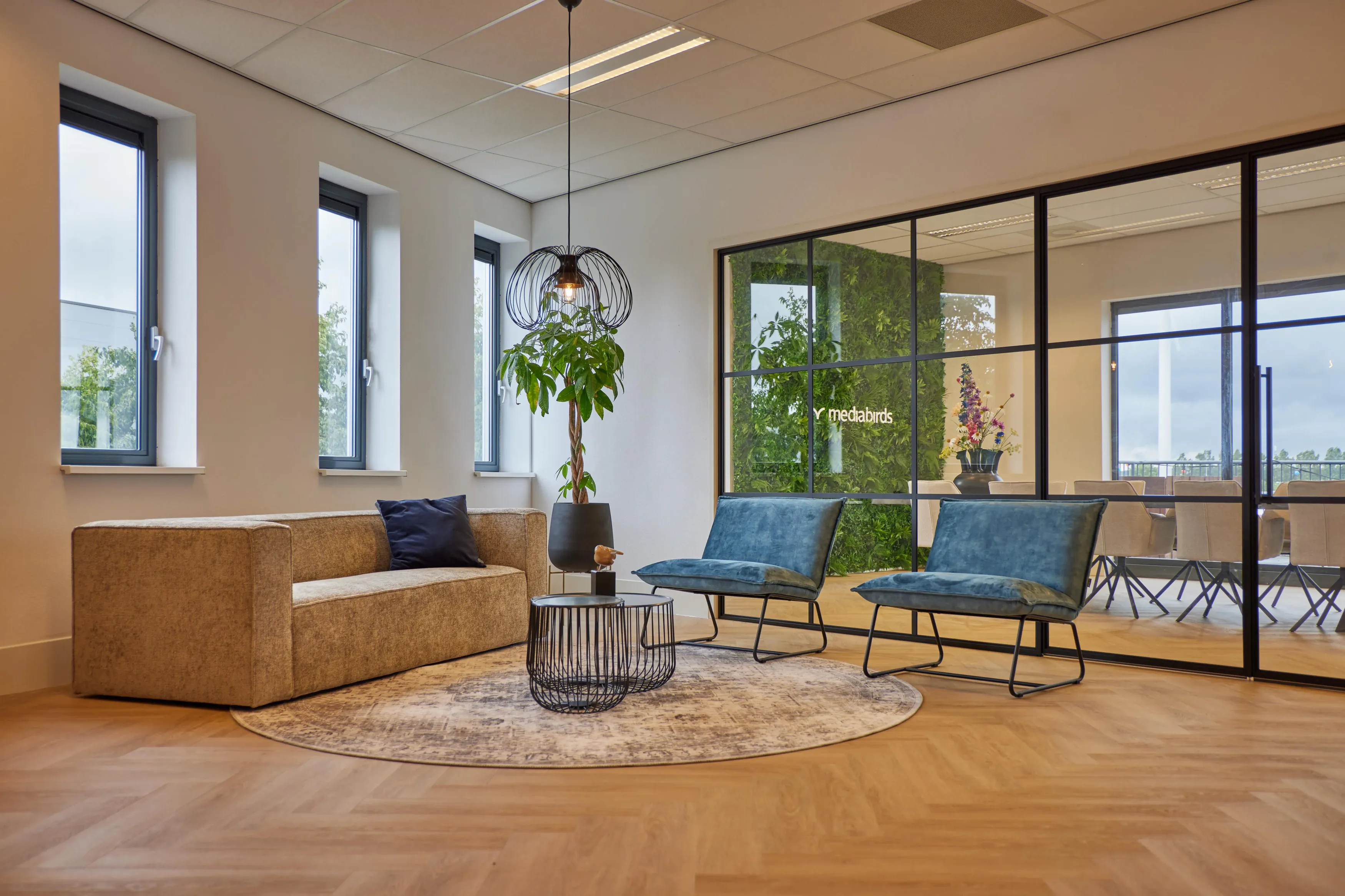 Modern kantoor met grote ramen, groene plantenbak, beige bank, blauwe stoelen en ronde tapijt