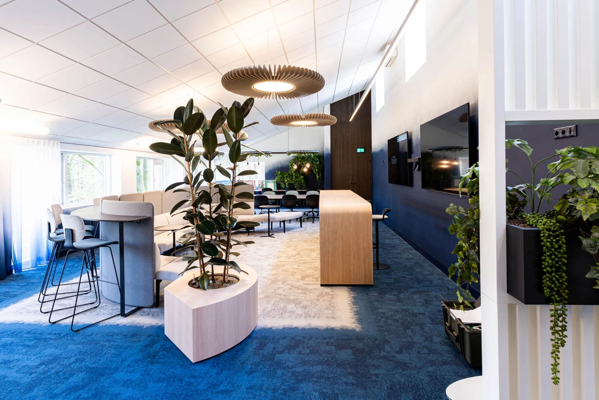 Moderne kantoorruimte met blauwe vloer, comfortabele banken, hoge barkrukken en plantenwanden
